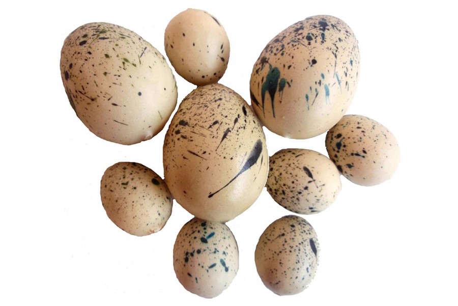 Dekoračné vajíčka PREPELIČIE 9 ks