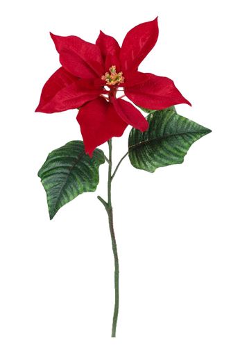 Umelá vetvička VIANOČNÁ HVIEZDA