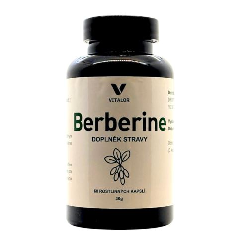 BERBERINE (1)